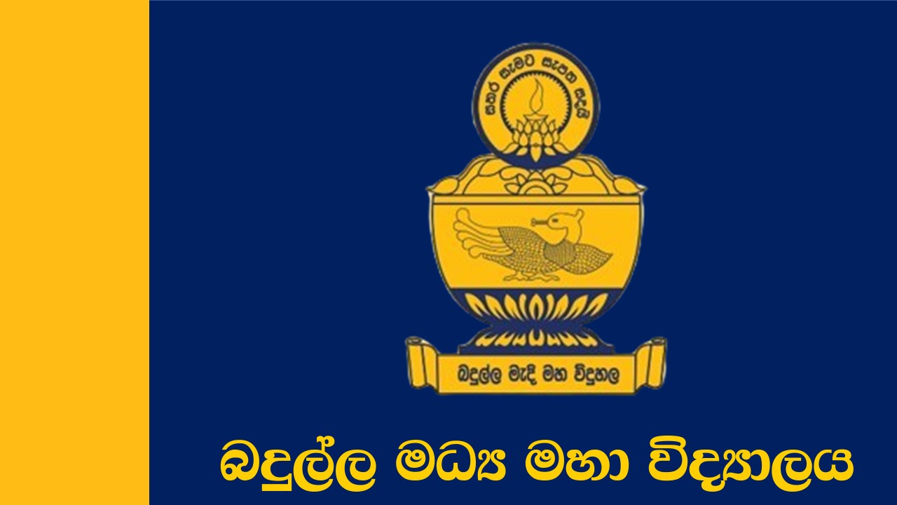 School Flag